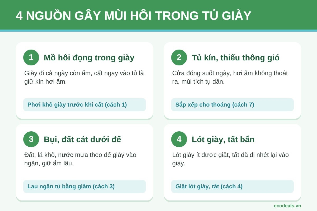 Sơ đồ 4 nguồn gây mùi hôi tủ giày: mồ hôi trong giày, tủ kín ẩm, bụi đất dưới đế, lót giày bẩn