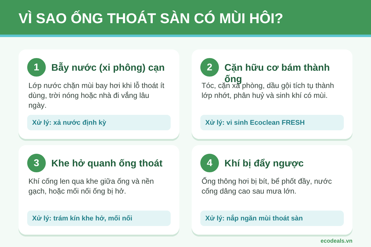 Sơ đồ 4 nguyên nhân khiến ống thoát sàn nhà tắm có mùi hôi: xi phông cạn nước, cặn hữu cơ bám thành ống, khe hở quanh ống thoát, khí bị đẩy ngược