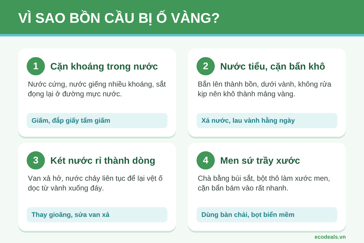 Sơ đồ 4 nguyên nhân khiến bồn cầu bị ố vàng: cặn khoáng từ nguồn nước, nước tiểu và cặn bẩn khô lại, két nước rỉ thành dòng, men sứ trầy xước