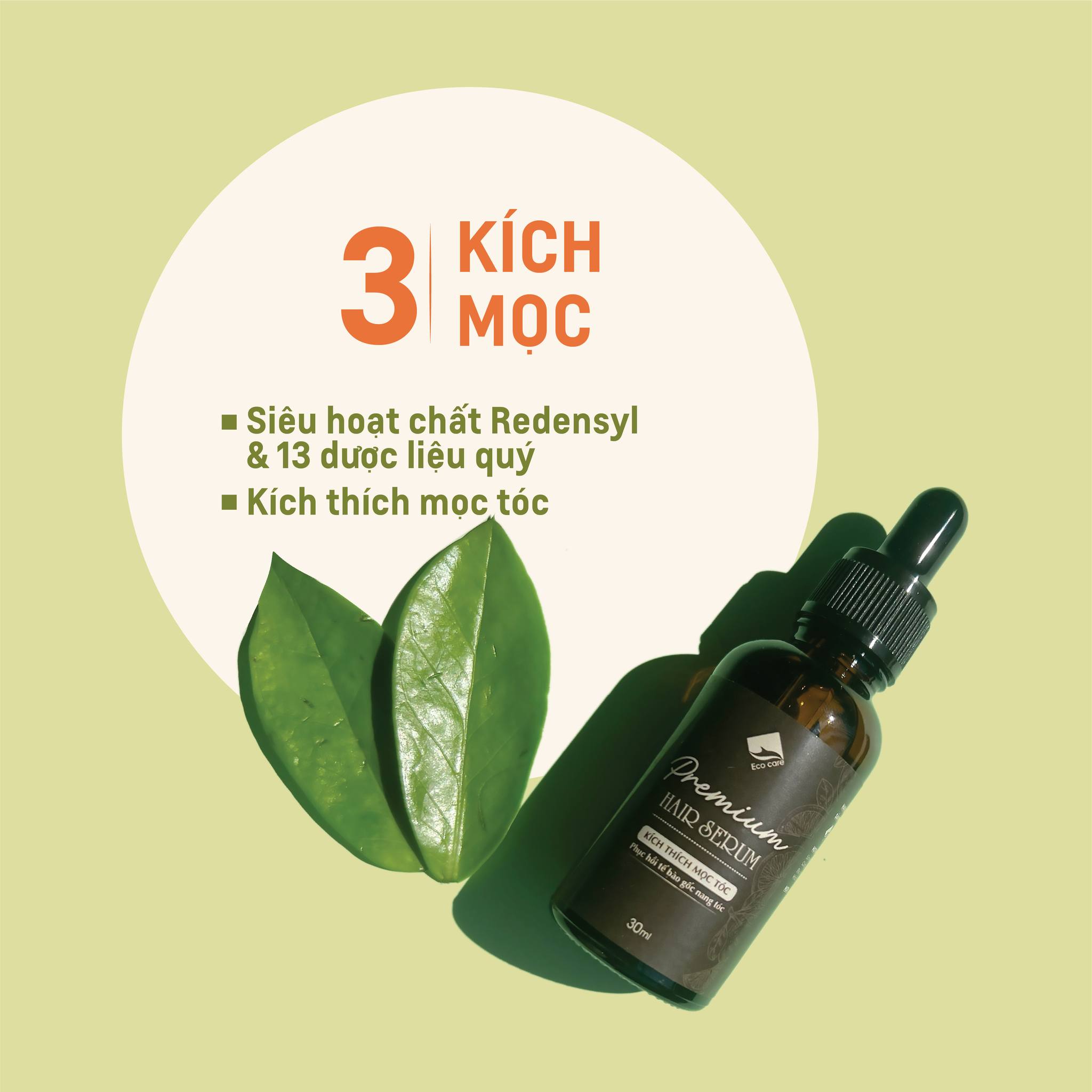 Dầu gội Dầu xả Thảo Dược True Organic Ecocare chăm sóc tóc chuyên sâu