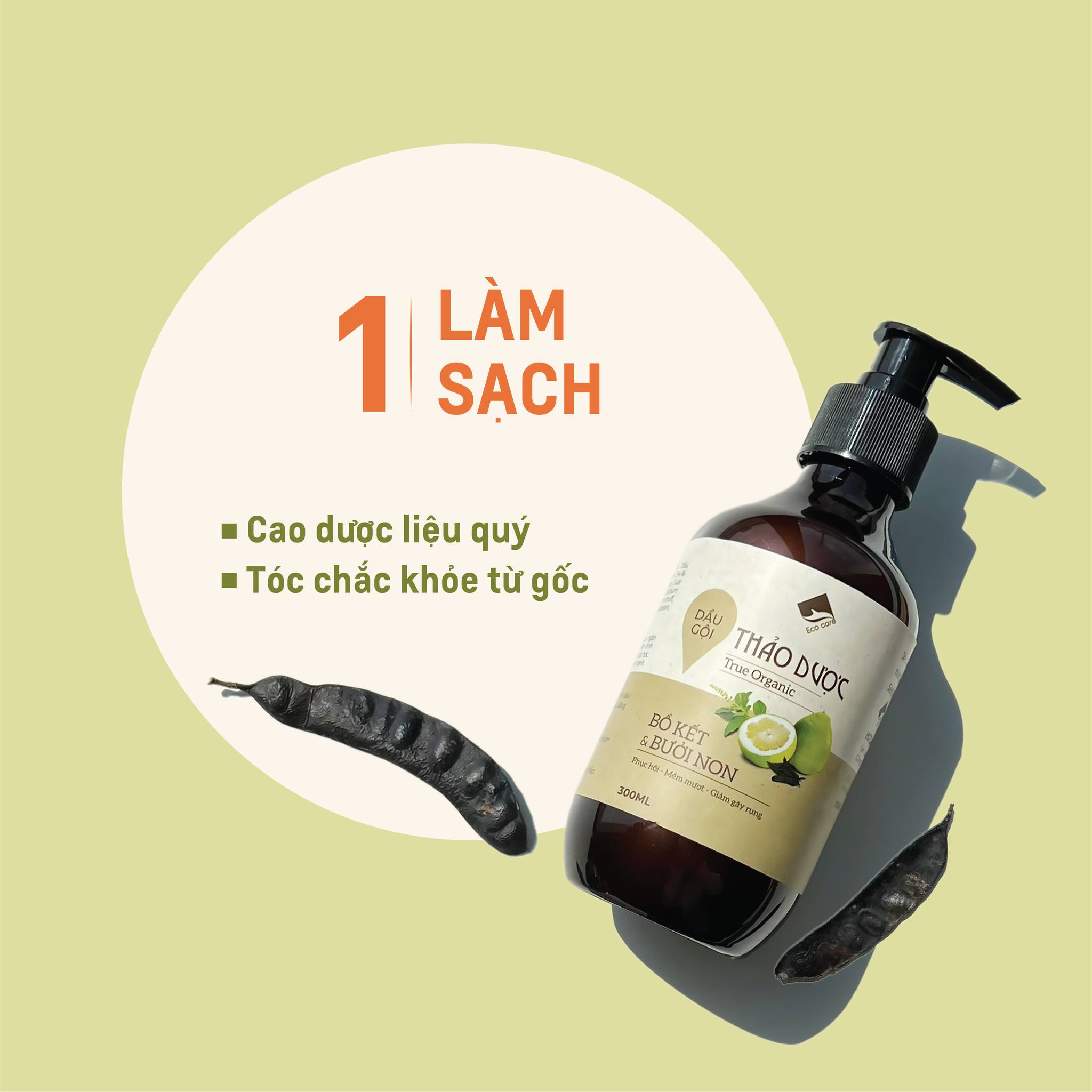 Dầu gội Dầu xả Thảo Dược True Organic Ecocare chăm sóc tóc chuyên sâu