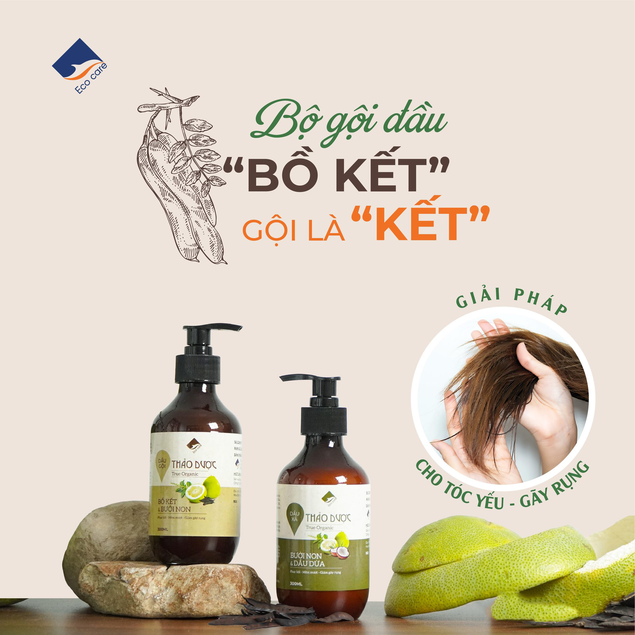 Dầu gội Dầu xả Thảo Dược True Organic Ecocare chăm sóc tóc chuyên sâu