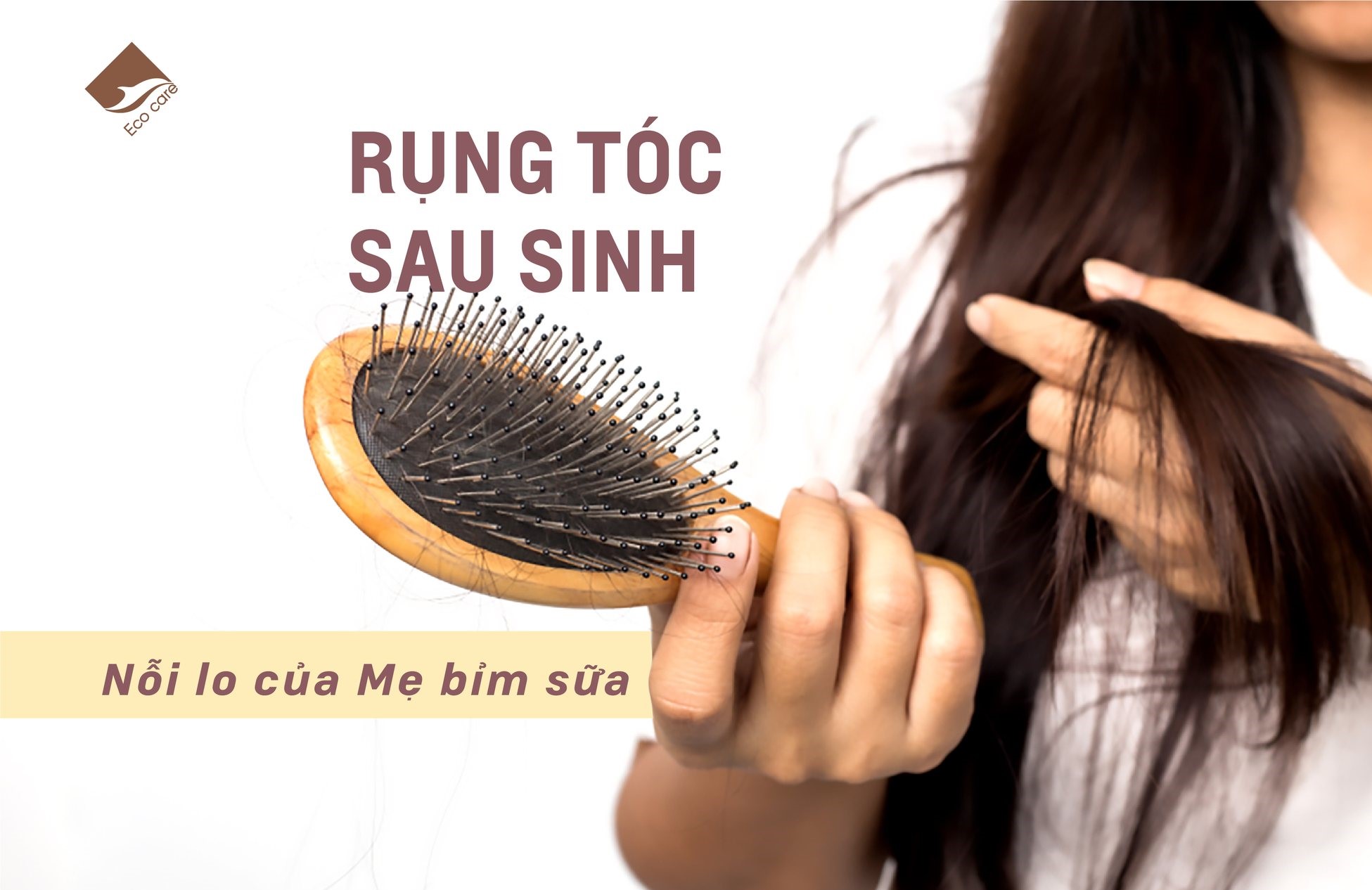 Dầu gội Dầu xả Thảo Dược True Organic Ecocare chăm sóc tóc chuyên sâu