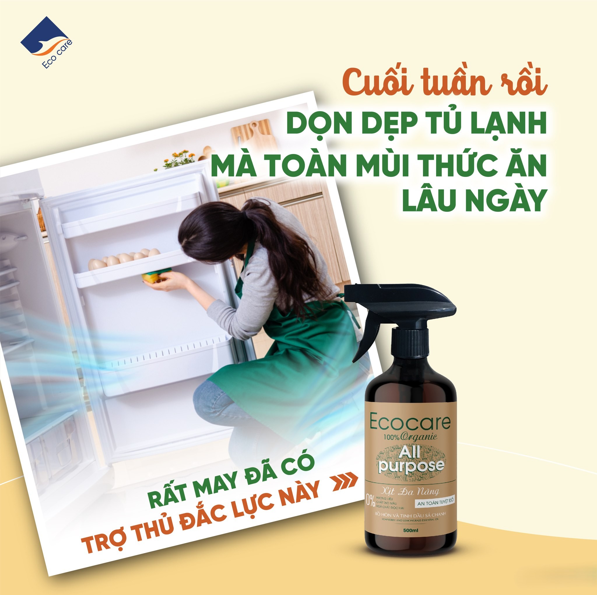 Xịt Chùi Rửa Đa Năng Bồ Hòn Hữu Cơ ECOCARE 4 lít - Tặng vỏ chai 500ml