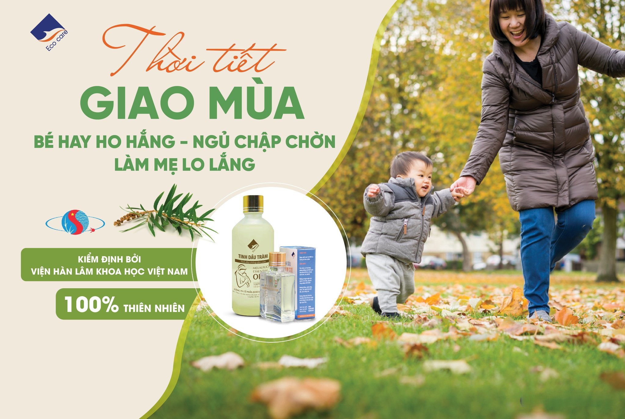 Tinh Dầu Tràm Gió Chống Cảm Cúm ECOCARE - Chai 30ml & 100ml