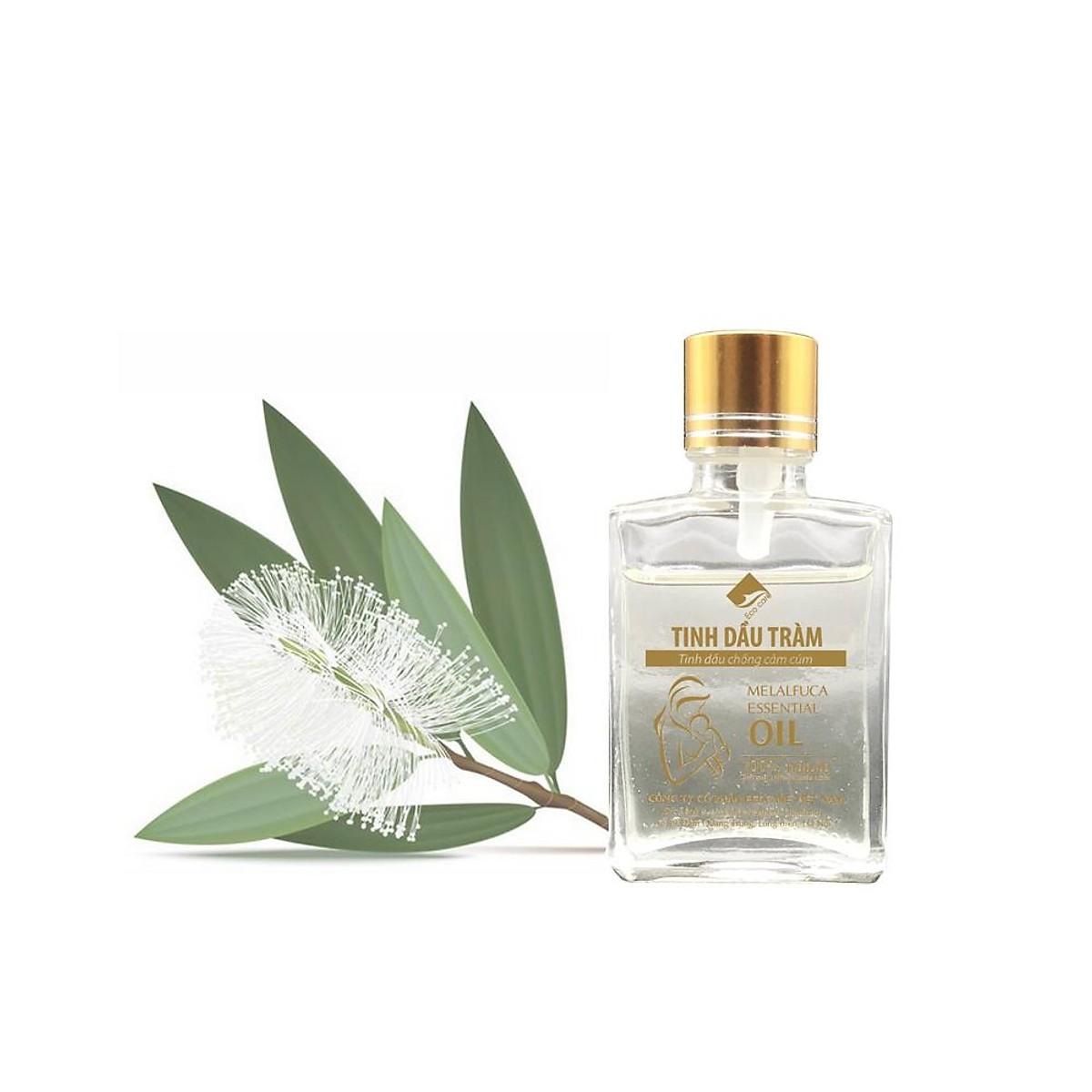 Tinh Dầu Tràm Gió Chống Cảm Cúm ECOCARE - Chai 30ml & 100ml