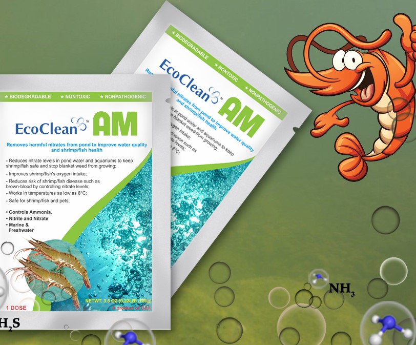 EcoClean AM - Men Vi Sinh Xử Lý Khí Độc Trong Ao Nuôi Tôm, Cá - 100g