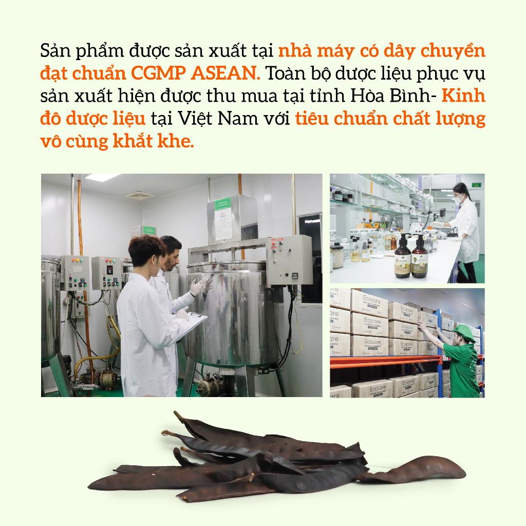 Dầu gội xả Bồ kết Bưởi non Thảo mộc TrueOrganic Ecocare- Kích mọc tóc Chăm sóc chuyên sâu