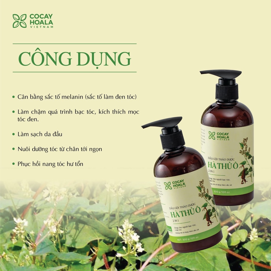 Dầu gội thảo dược Hà Thủ Ô 2 in 1 Cỏ Cây Hoa Lá - Chai 450g