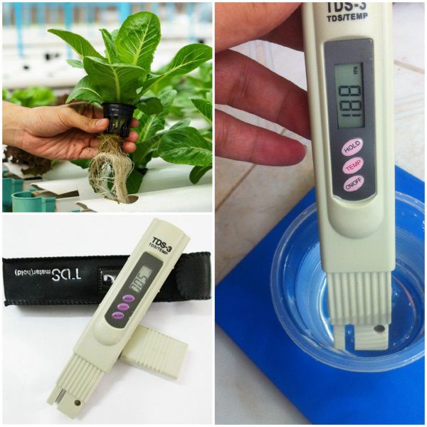 Bút đo độ tinh khiết của nước TDS Meter 3 (TDS-3)