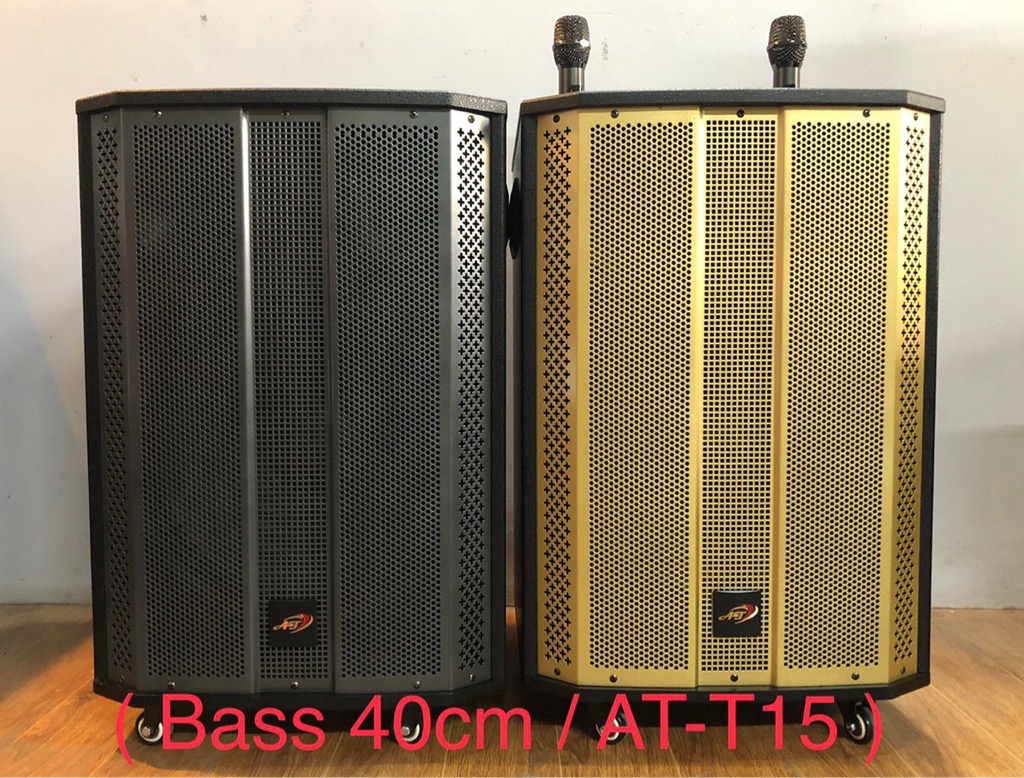 Loa kéo AT-T15 600W bass 40cm kèm 2 micro không dây hát karaoke di động [BH 6 tháng]