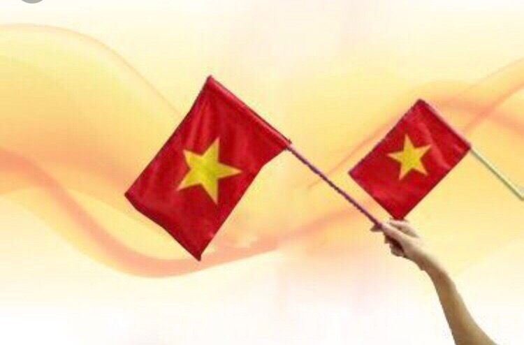 Lá cờ cổ vũ Việt Nam chiến thắng cây ngắn DG0-05310