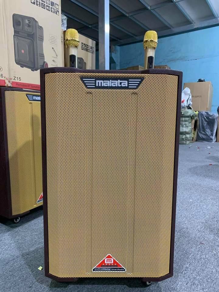 6. Bảo Trì và Bảo Dưỡng Loa Kéo 2 Tầng