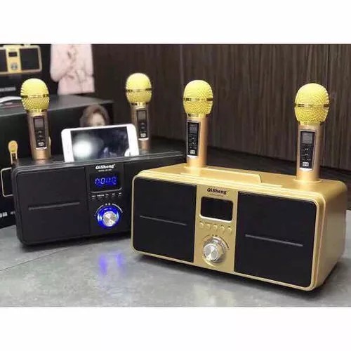 Loa bluetooth karaoke SDRD SD-309 kèm 2 micro không dây chính hãng [BH 6 Tháng]