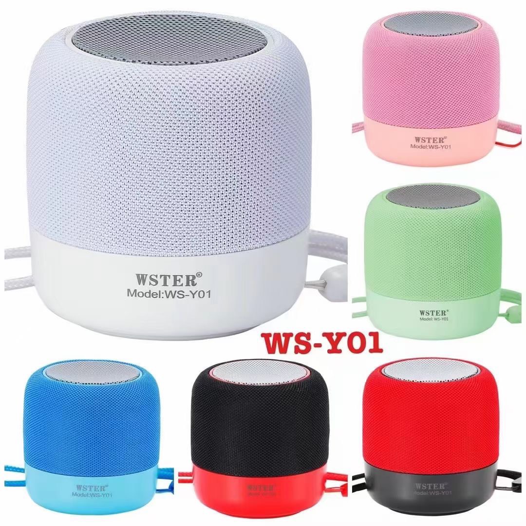 Loa bluetooth WSTER WS-Y01 mini có dây treo [BH 3 tháng]