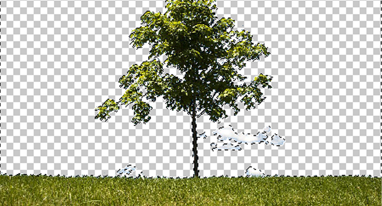 Cách tách nền cực xịn trên iPhone chỉ với một cú chạm