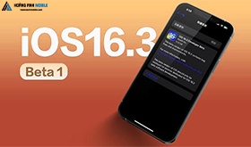 Apple phát hành iOS 16.3 beta 1 cho nhà phát triển, đây là tính năng mới
