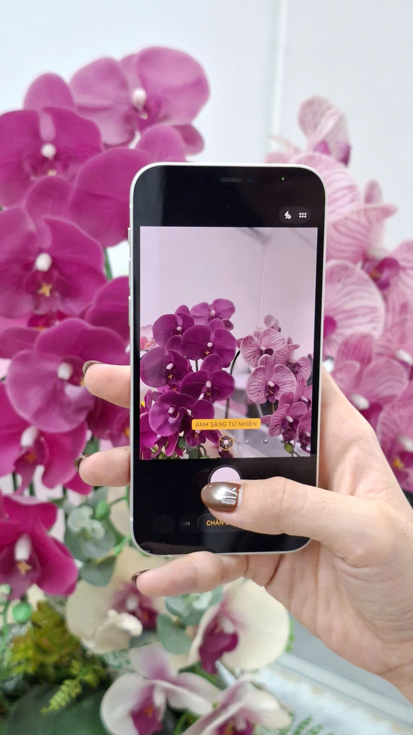 Thiết Kế, Màn Hình Và Camera