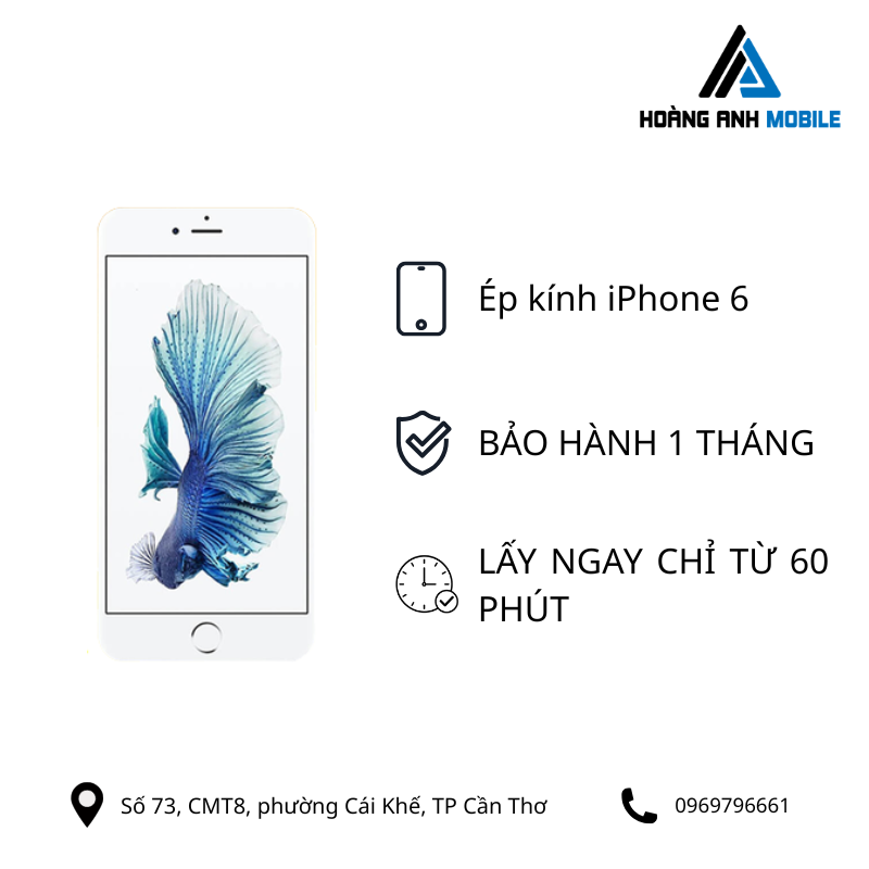 Ép kính iPhone 6