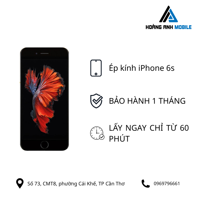 Ép kính iPhone 6s