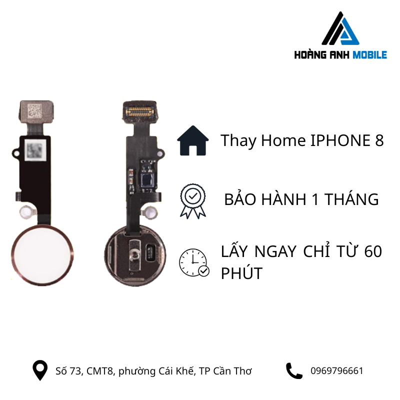 Thay home iPhone 8