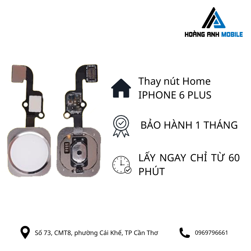 Thay nút home iPhone 6 Plus