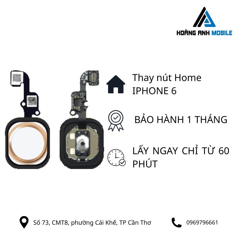 Thay nút home iPhone 6