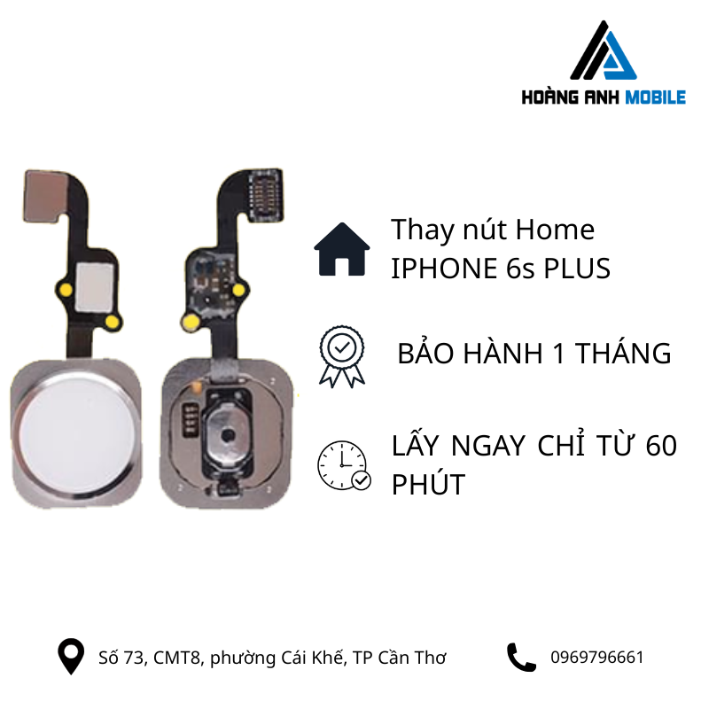 Thay nút home iPhone 6s Plus