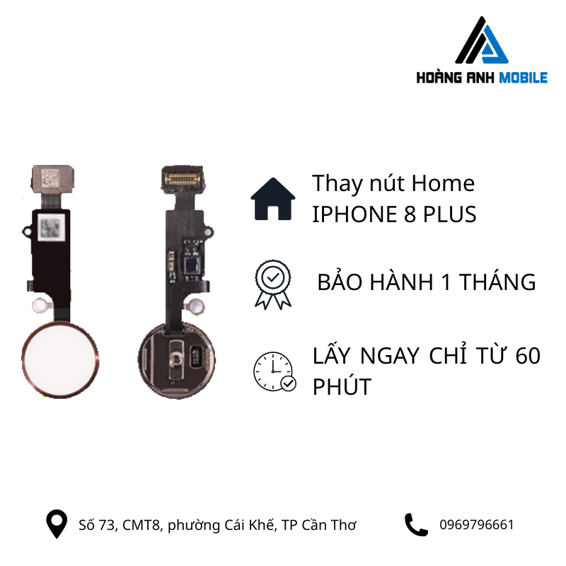 Thay nút home iPhone 8 Plus