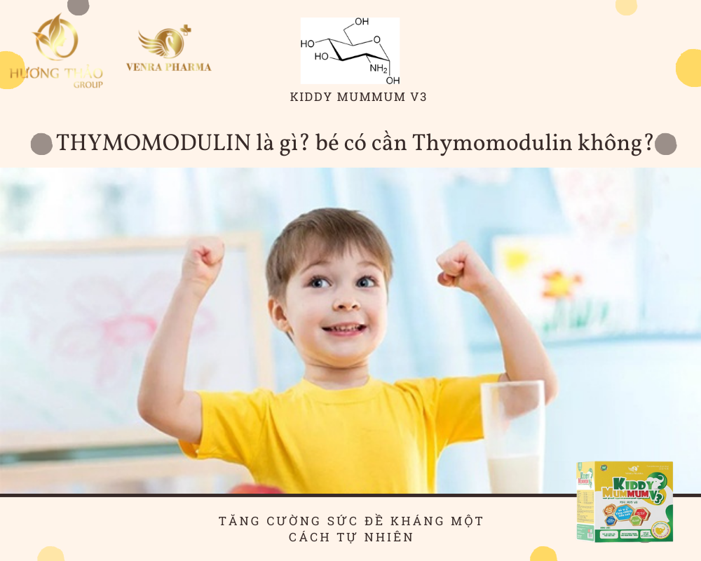 THYMOMODULIN là gì? Trong siro Kiddy Mummum V3 có Thymomodulin không?