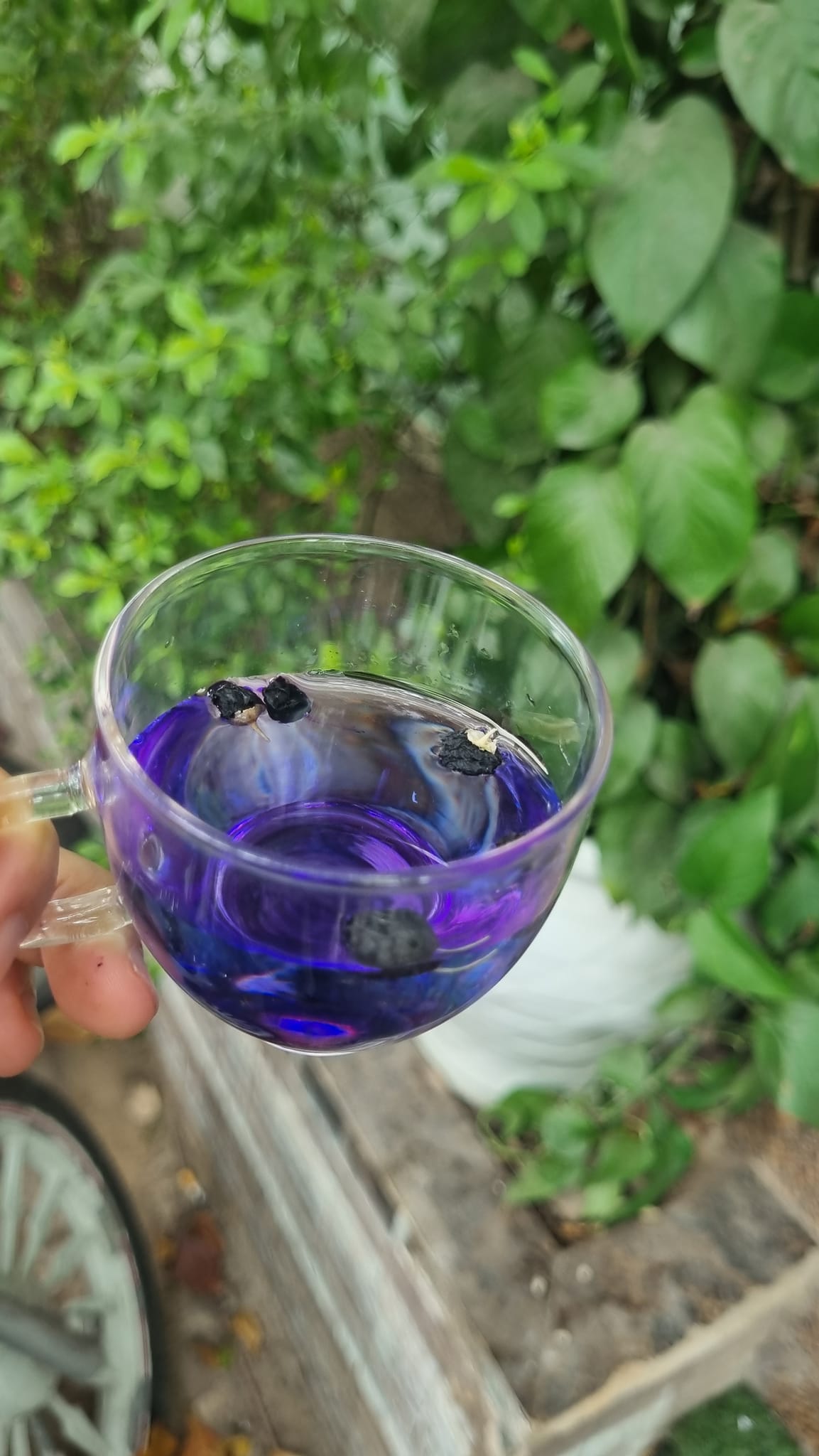 Hắc Kỷ Tử Hữu Cơ Green Nature 50gr