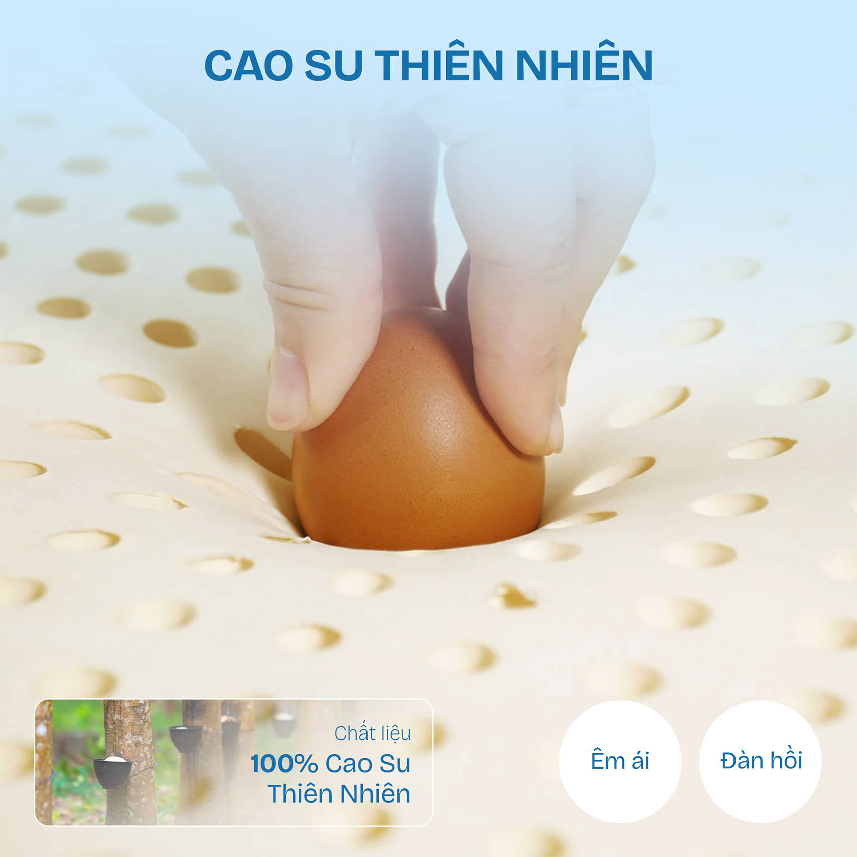 Nệm cao su Kim Cương Happy Gold