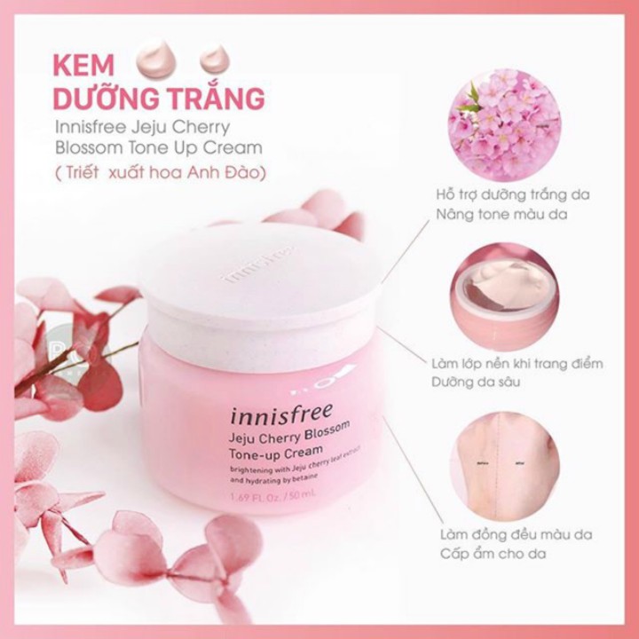 Kem Dưỡng Da Nâng Tone Innisfree Jeju Cherry Blossom Tone Up Cream 50ml |  Lala Cosmetics - Thiên đường mỹ phẩm