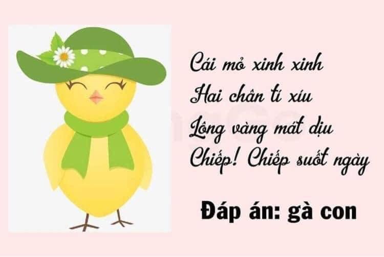 NHỮNG CÂU ĐỐ HAY VỀ ĐỘNG VẬT