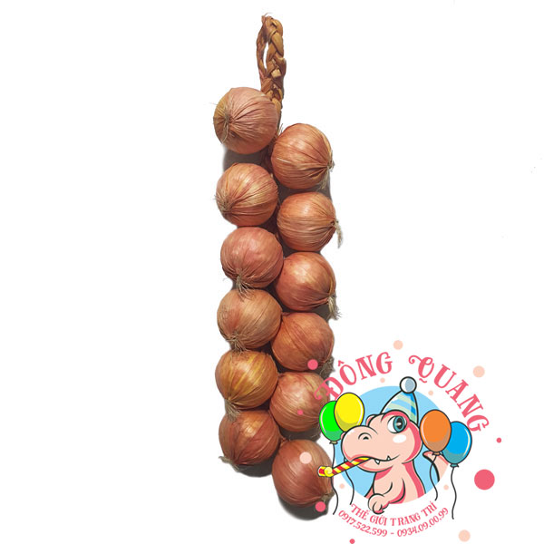 Hành tây - dây - 12 củ