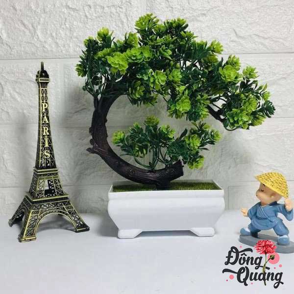 Sen lưỡi liềm - chậu - bonsai
