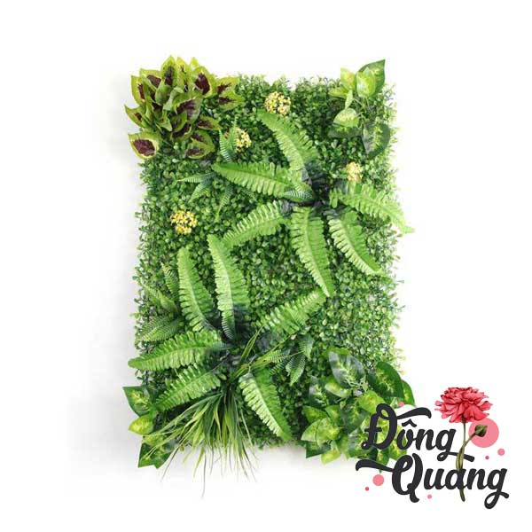 Thảm cỏ Dương xỉ - Trầu bà 40x60cm