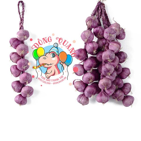 Hành tím - dây - 12 củ