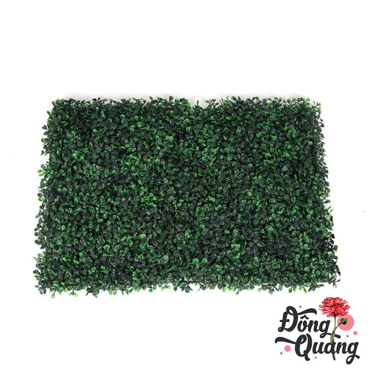 Thảm cỏ Cải xoong 40x60cm