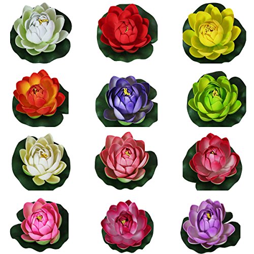 Hoa sen búp - thả nổi - 10cm