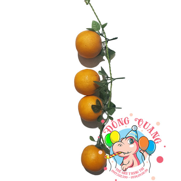 Trái Cam - dây - 4 trái