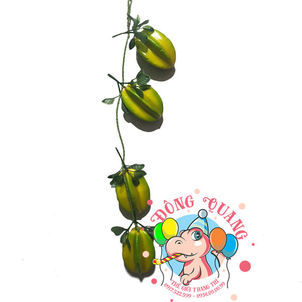 Trái Khế - dây - 4 trái