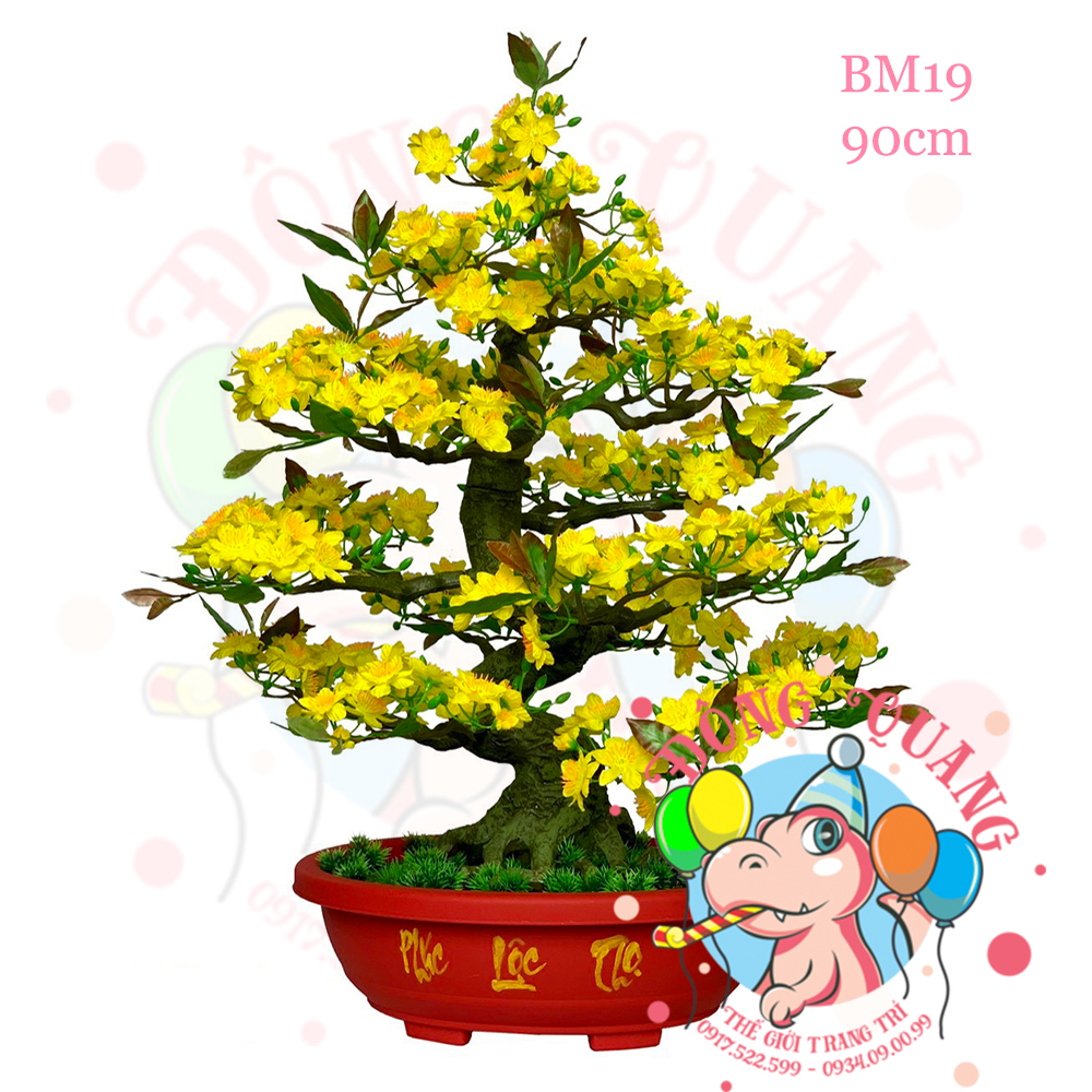 Cây mai bonsai 90cm (BM19)