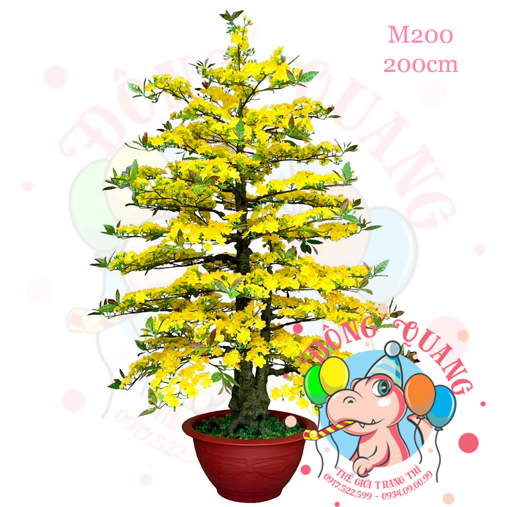 Cây mai thẳng 2 thân 200cm (M200)