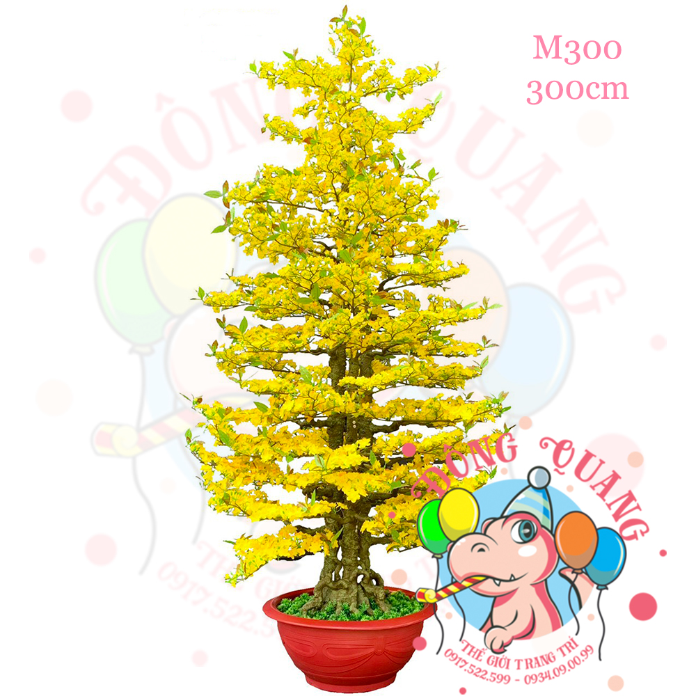 Cây mai thẳng 3 thân 300cm (M300)