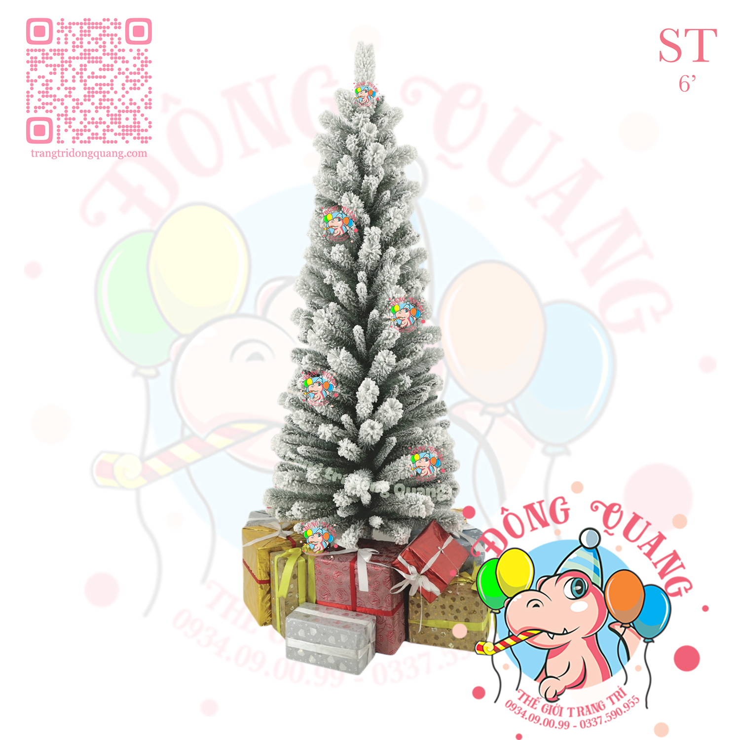 Cây thông ốm 3 loại lá phủ tuyết