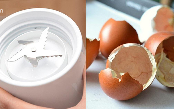 Mẹo làm lưỡi dao máy xay sinh tố trở nên sắc lẹm từ vỏ trứng
