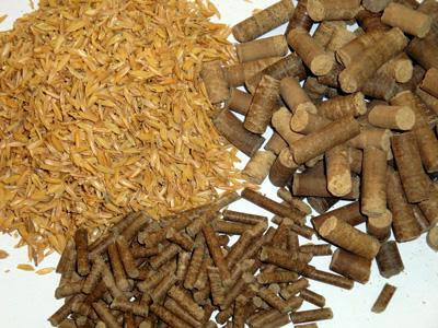 Biomass là gì? Tất tần tật thông tin cần biết
