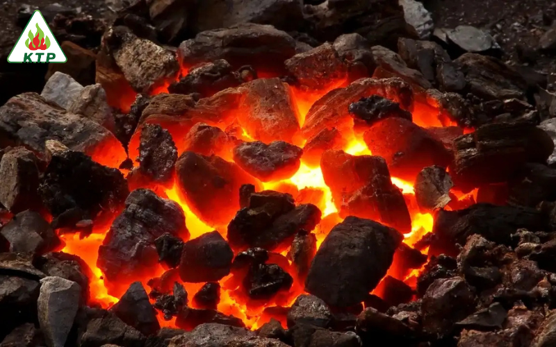 Than Đốt Lò Hơi: Phân Loại, Ưu Nhược Điểm và Cách Lựa Chọn