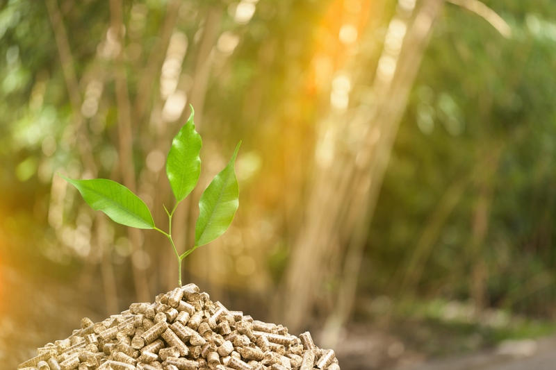 Các loại sinh khối như vỏ trấu rời, mùn cưa, dăm gỗ, dăm băm, viên nén sinh khối